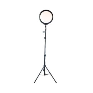 led full moon floor light with phone holder